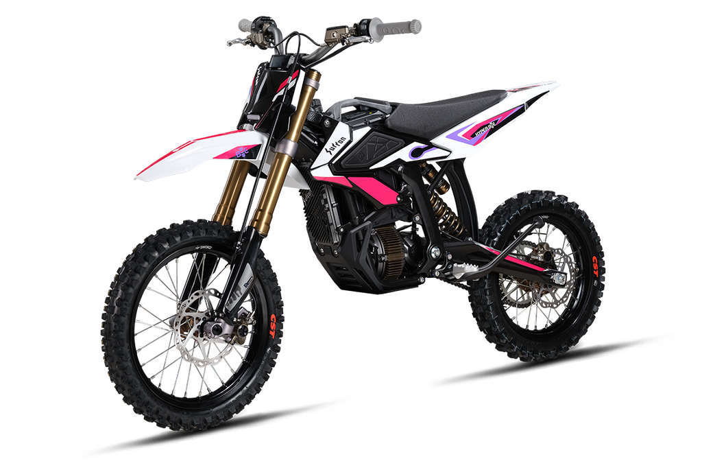 2025 Surron Hyper Bee EV Warehouse