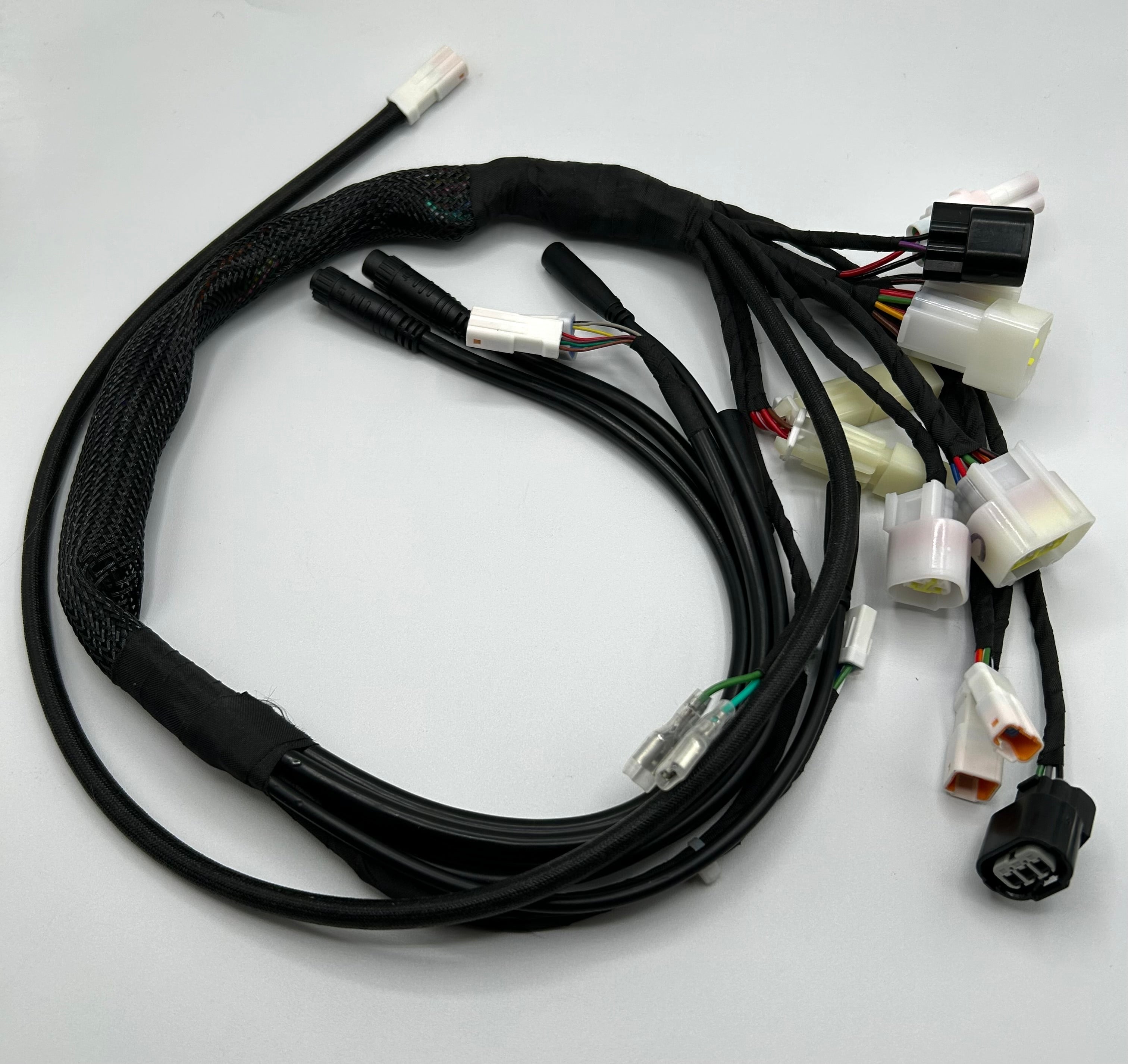 Talaria XXX Wiring Harness EV Warehouse