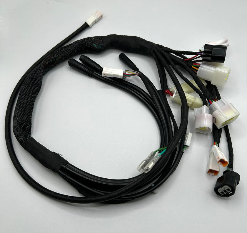 Talaria XXX Wiring Harness EV Warehouse