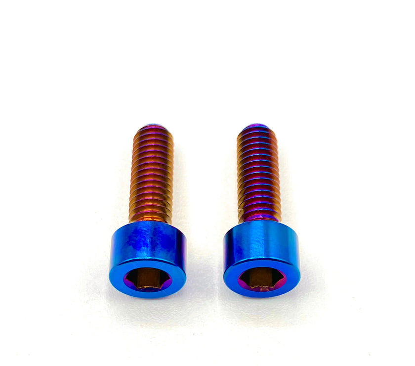 Titanium Brake Caliper Bolts EV Warehouse