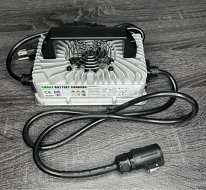 Surron Light Bee Charger 60v10A EV Warehouse