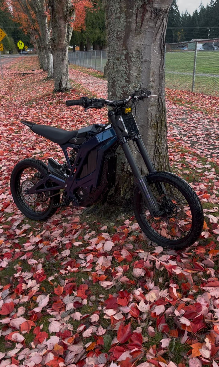 Black dirt bike parked on a ground covered with fallen leaves